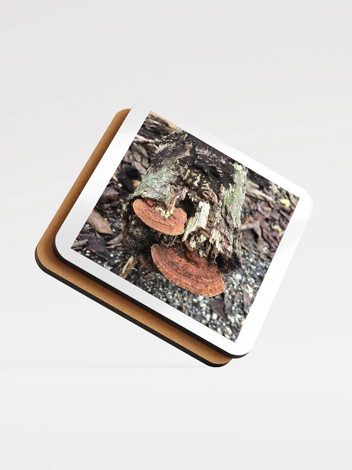Tree trunk photo coaster product image (1)