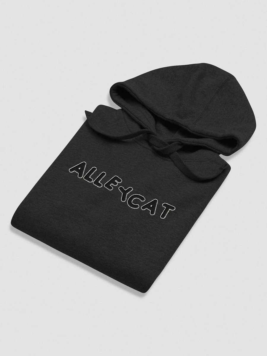 Alleycat Embroidered Hoodie product image (37)