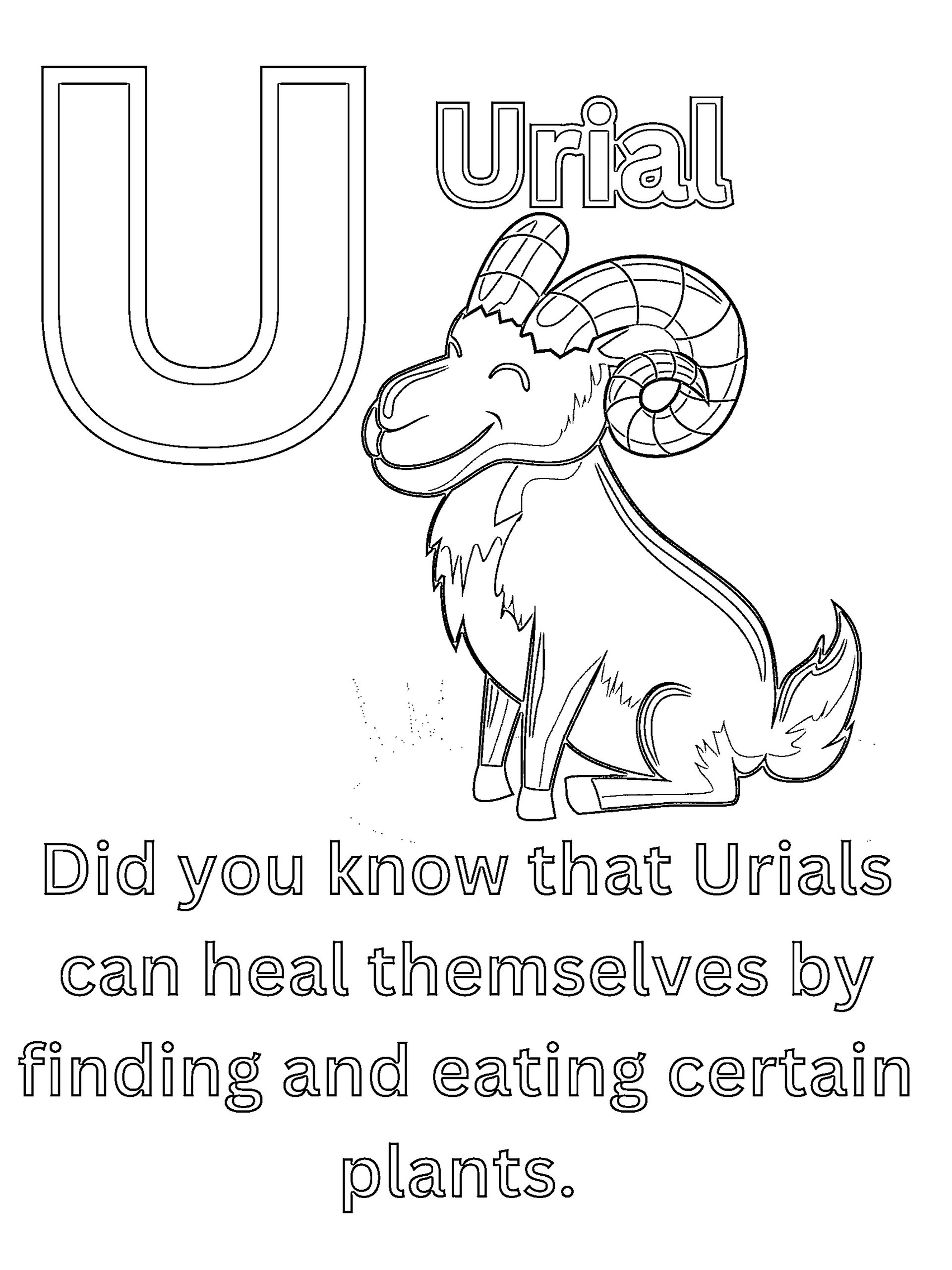 Cool Animal Facts ABCs Coloring Book: Animal Names and Information for Preschoolers and Kindergarten Children product image (8)