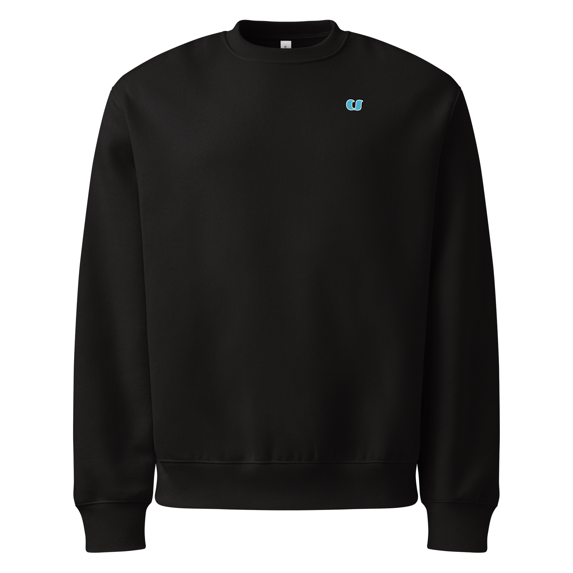 CS Oversized Heavyweight Sweatshirt product image (5)