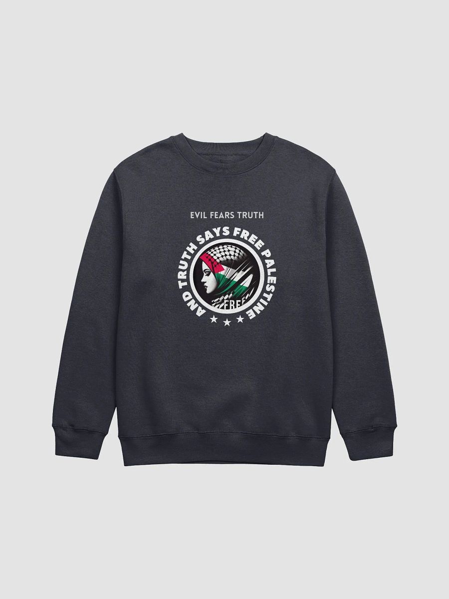 Free Spirit Profile Crewneck Sweatshirt | Evil fears truth, and truth says: Free Palestine. product image (13)