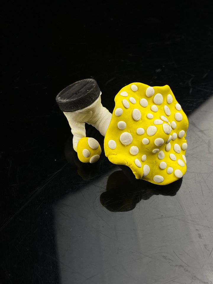 Double Yellow Mushroom product image (2)