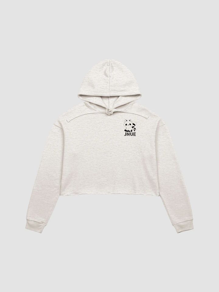Bright Crop Top Hoodie product image (1)