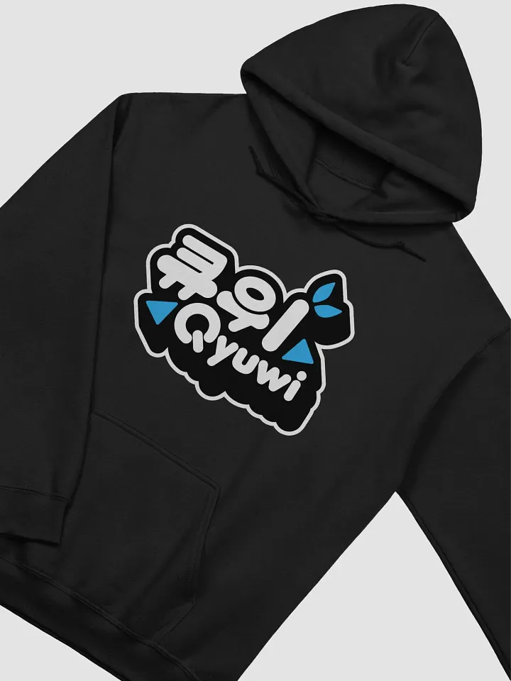 Qyuwi Korean Logo Hoodie product image (13)
