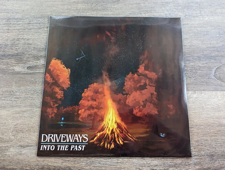 Into The Past Vinyl - Black product image (1)