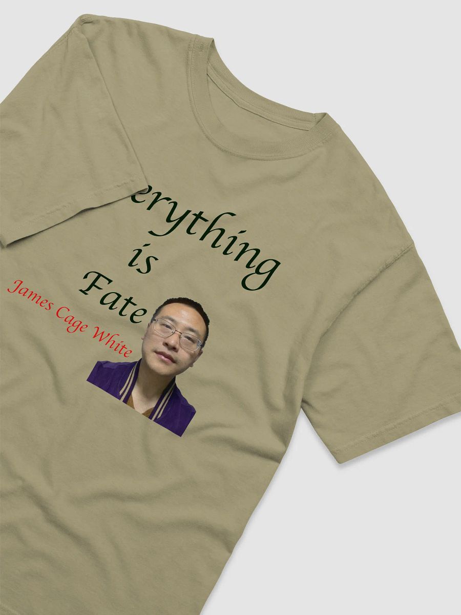 Comfort Colors Garment-Dyed Heavyweight T-Shirt: fate product image (40)