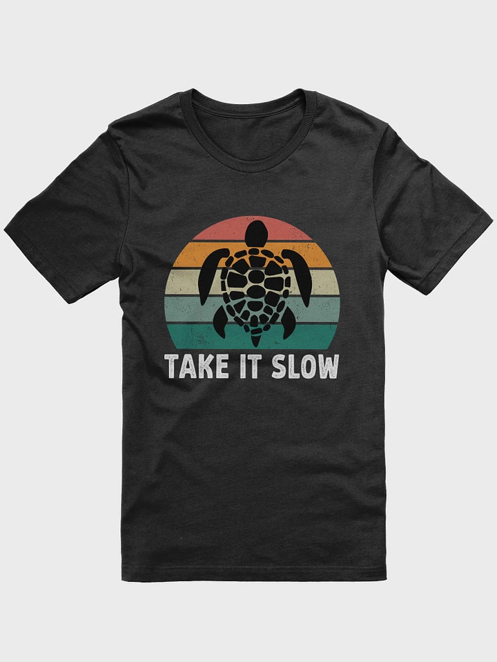 Take It Slow Turtle Vintage Earth Day T-Shirt product image (1)