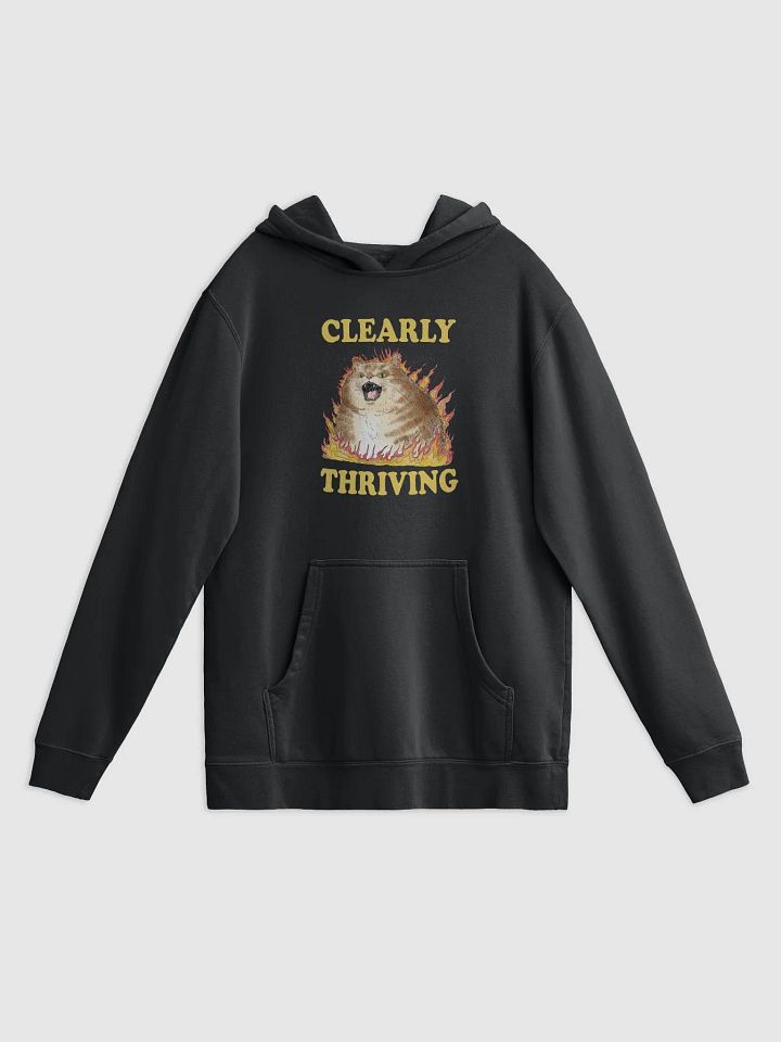 Clearly Thriving - Hoodie product image (1)