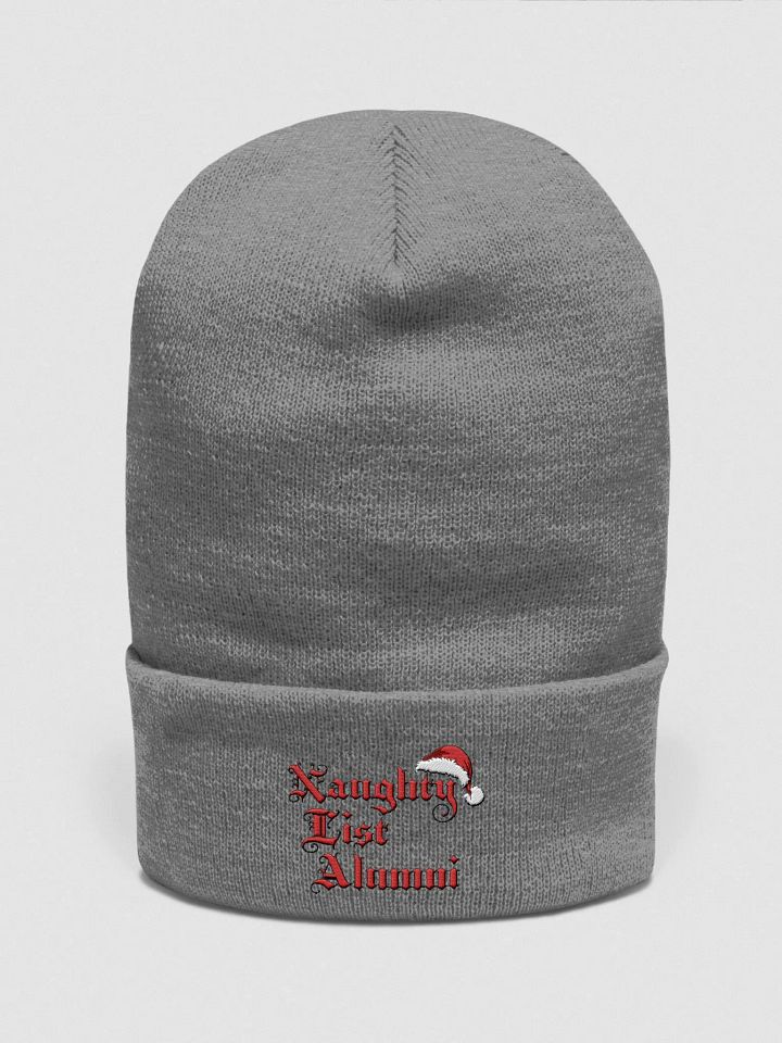 "Naughty List Alumni" Bennie Hat product image (3)