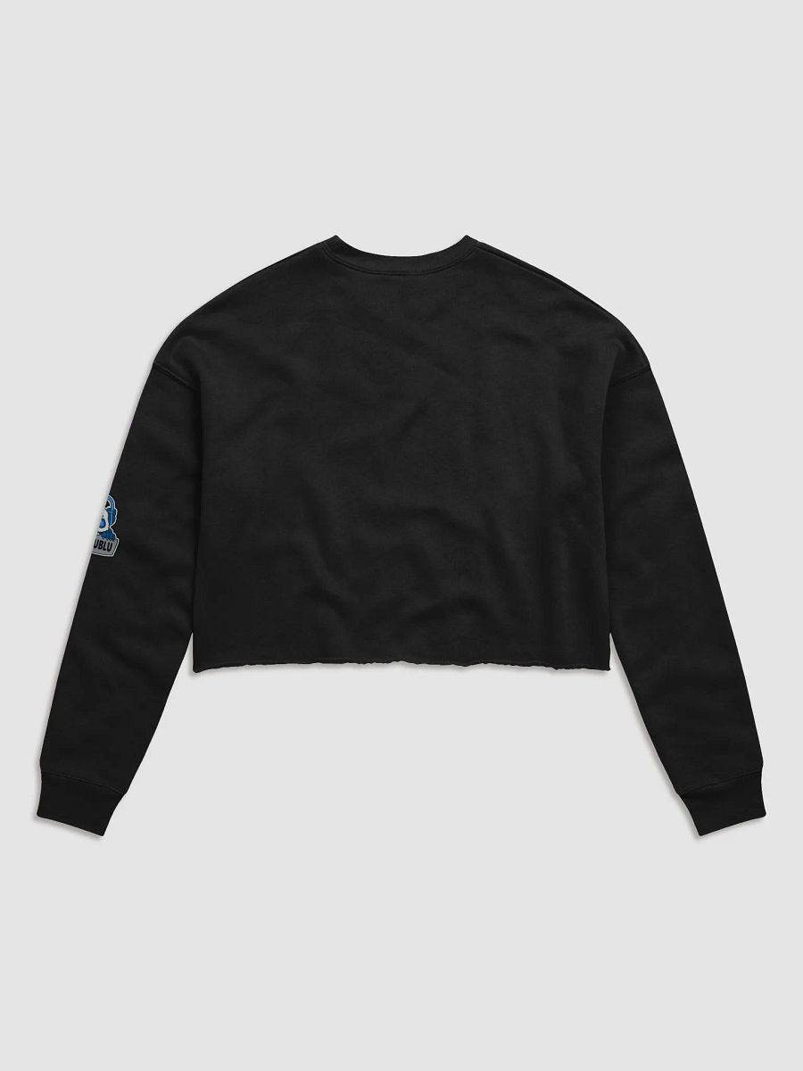 cropped sweatshirt product image (3)