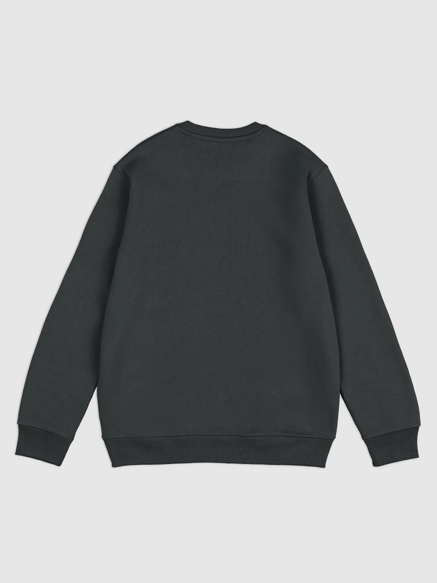 That Sober Feeling, Minimal & Elegant Sobriety Support Sweater product image (2)