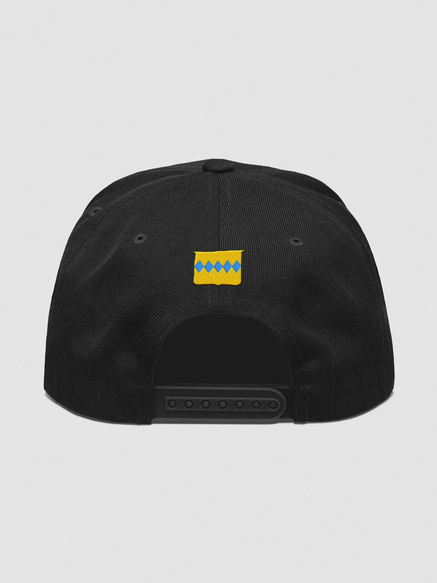 Pennington Snapback Hat v2 product image (63)