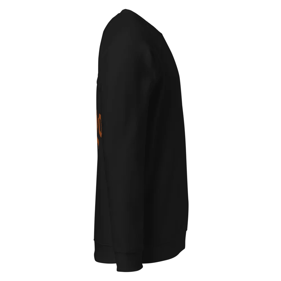 Circle Virgo Unisex Raglan Sweatshirt product image (15)