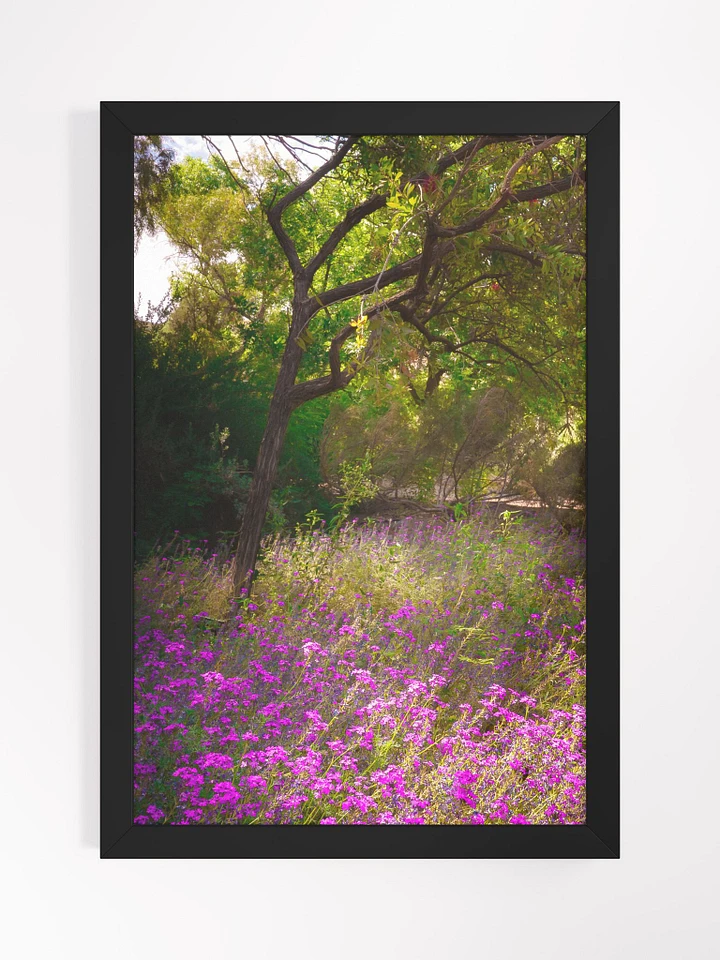 Wildflowers in Light product image (1)