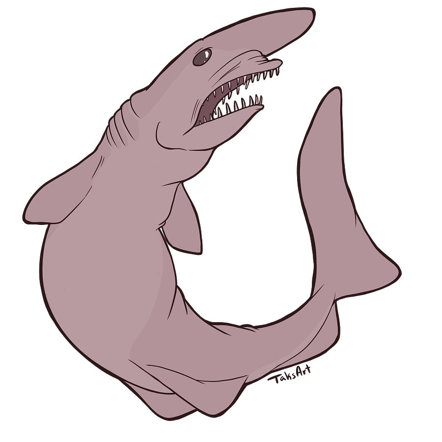 Goblin Shark product image (1)