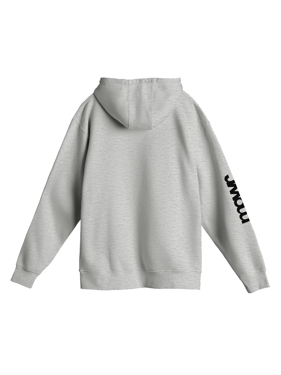 Stolen Hoodie H.I.S. (Black) product image (2)