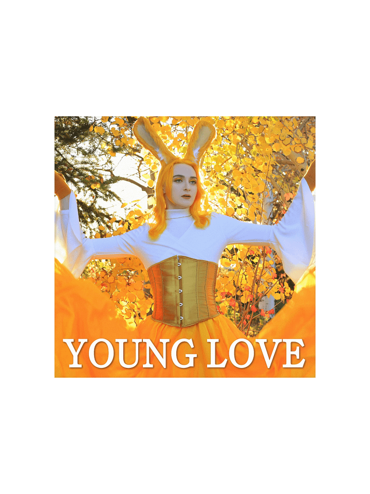 Young Love Poster [1 of 4] product image (4)