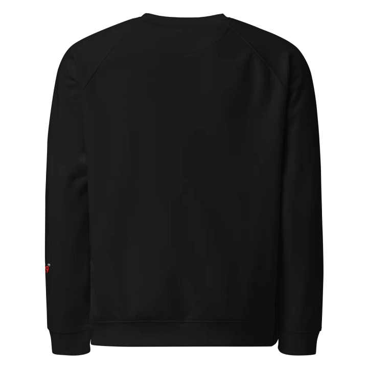 WHEN I COME I AM THERE SWEATSHIRT product image (2)