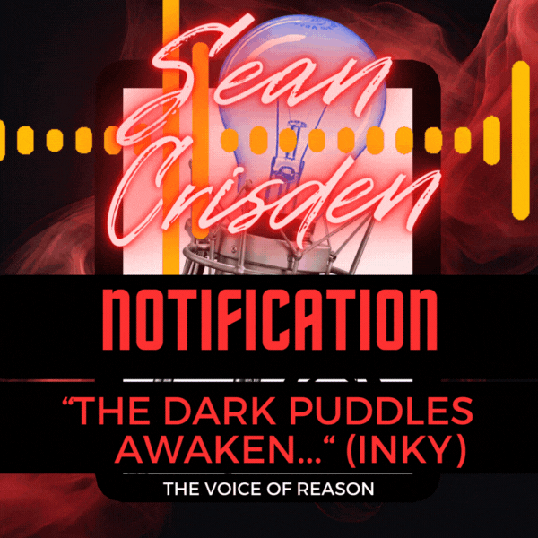 Audio Notification - 
