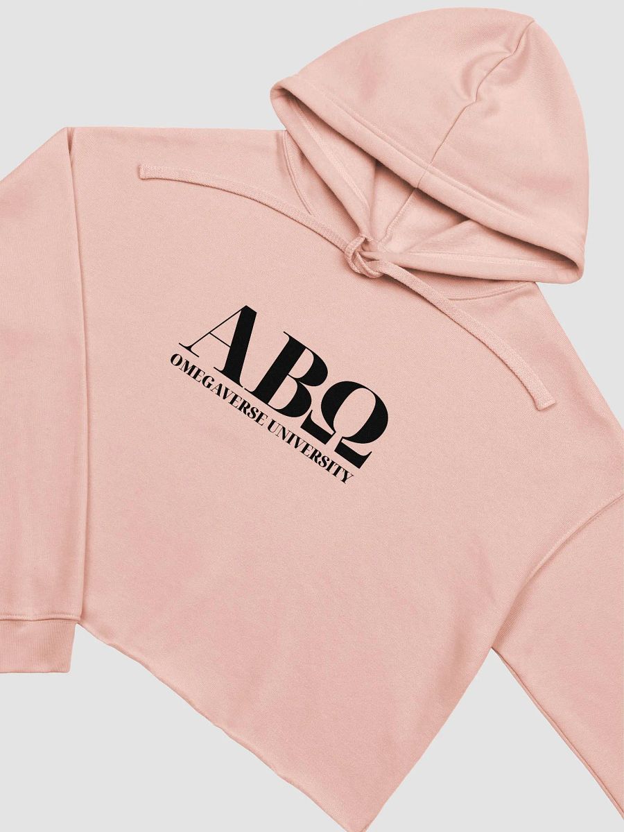 ABΩ Sorority - Cropped Hoodie product image (7)