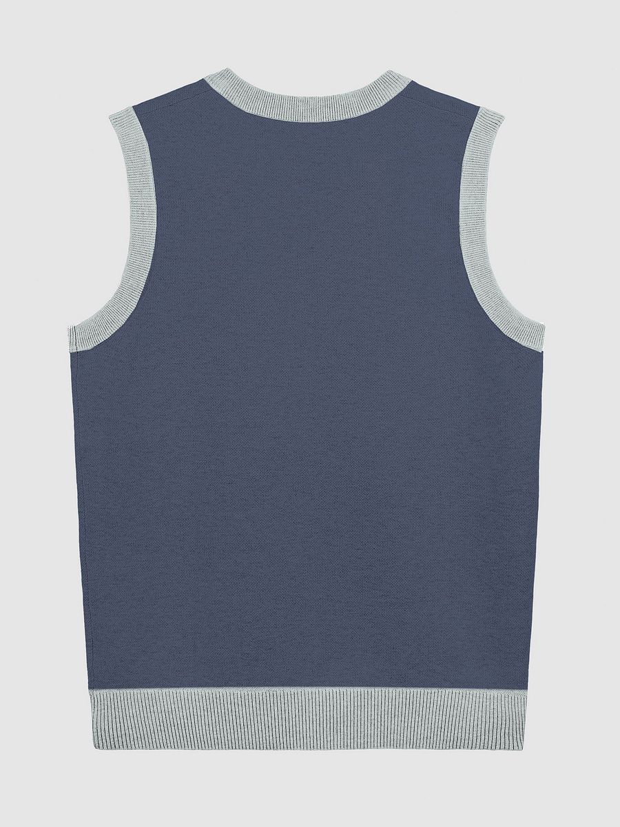 BUSY-BRAINED (lg. design, navy and powder blue) knitwear vest product image (9)