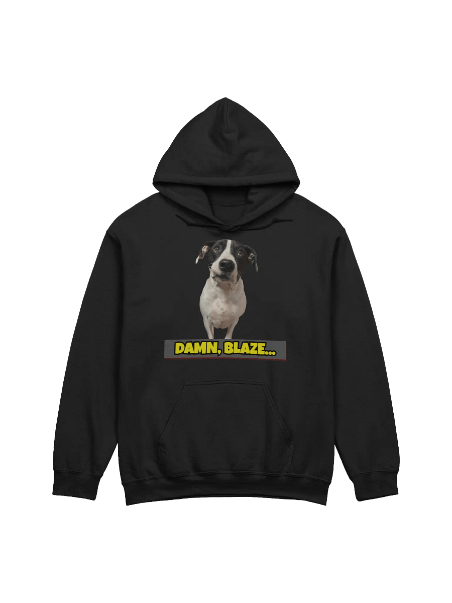 DAMN, BLAZE... Striped Swag Hoodie product image (6)