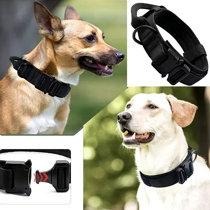 Tactical Dogs Collar product image (2)