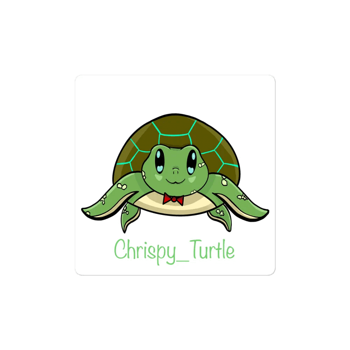 Turtle Magnet product image (2)