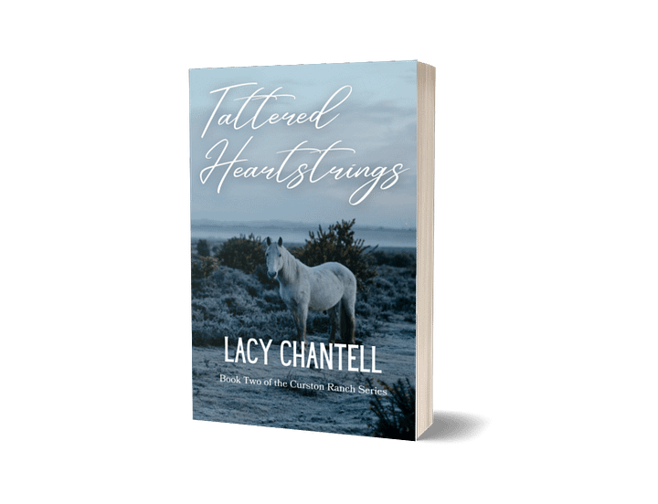 Out of Print : Tattered Heartstrings Paperback product image (1)