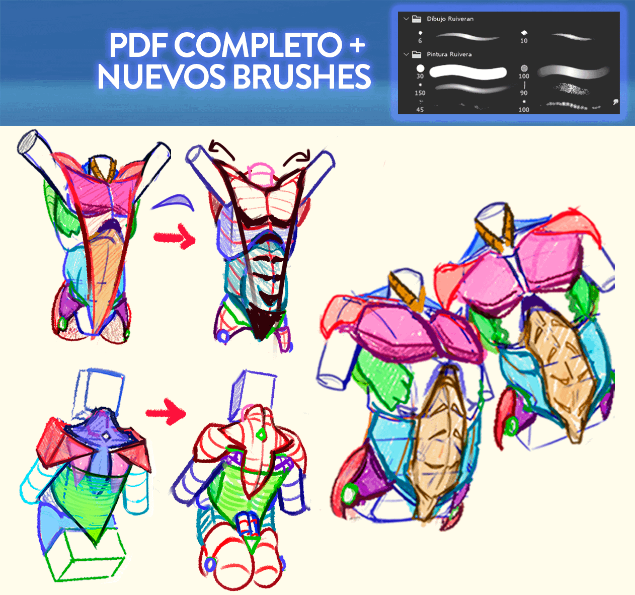 DIBUJA ANATOMÍA EN ACCIÓN (Full PDF)+ Pinceles 2025 + Rutina de Prácticas product image (7)