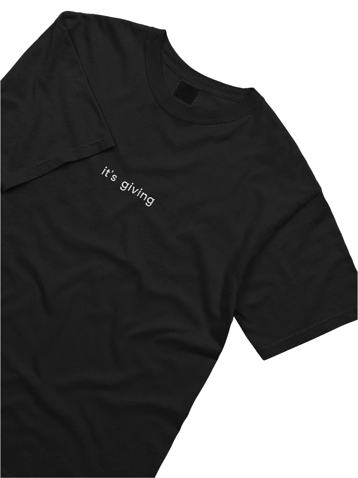 it's giving Embroidered Tee - Dark Colors product image (1)