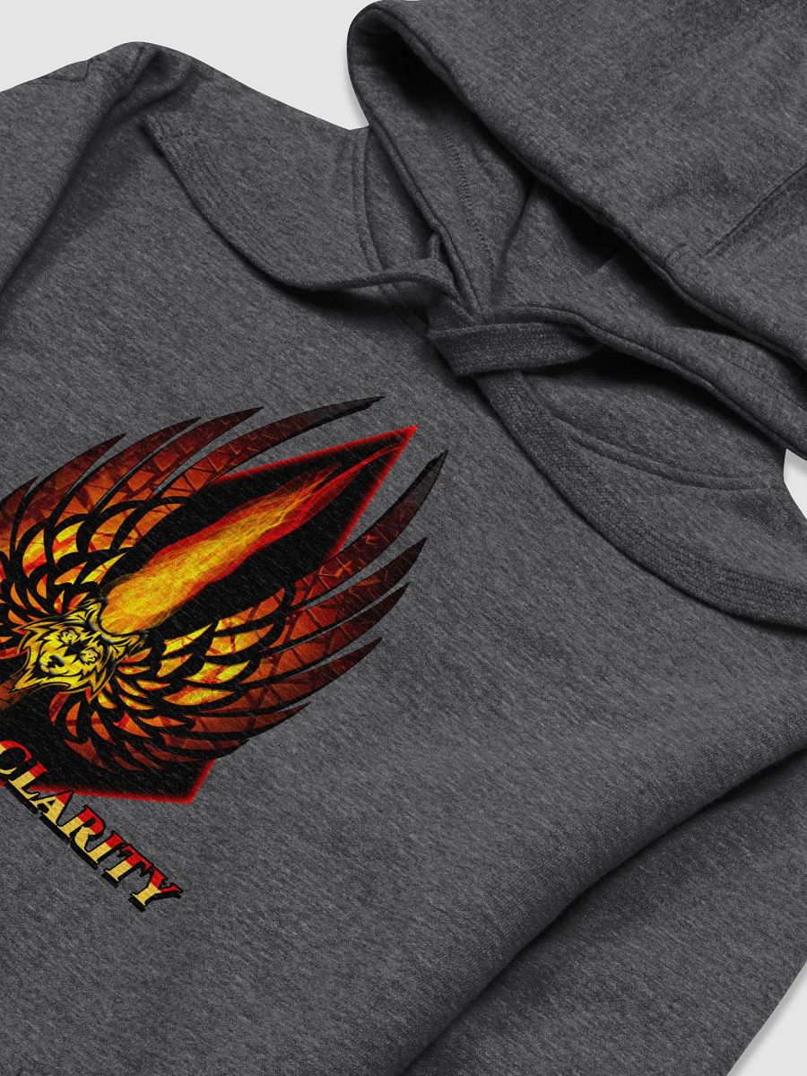 AOC LOGO HOODIE product image (13)