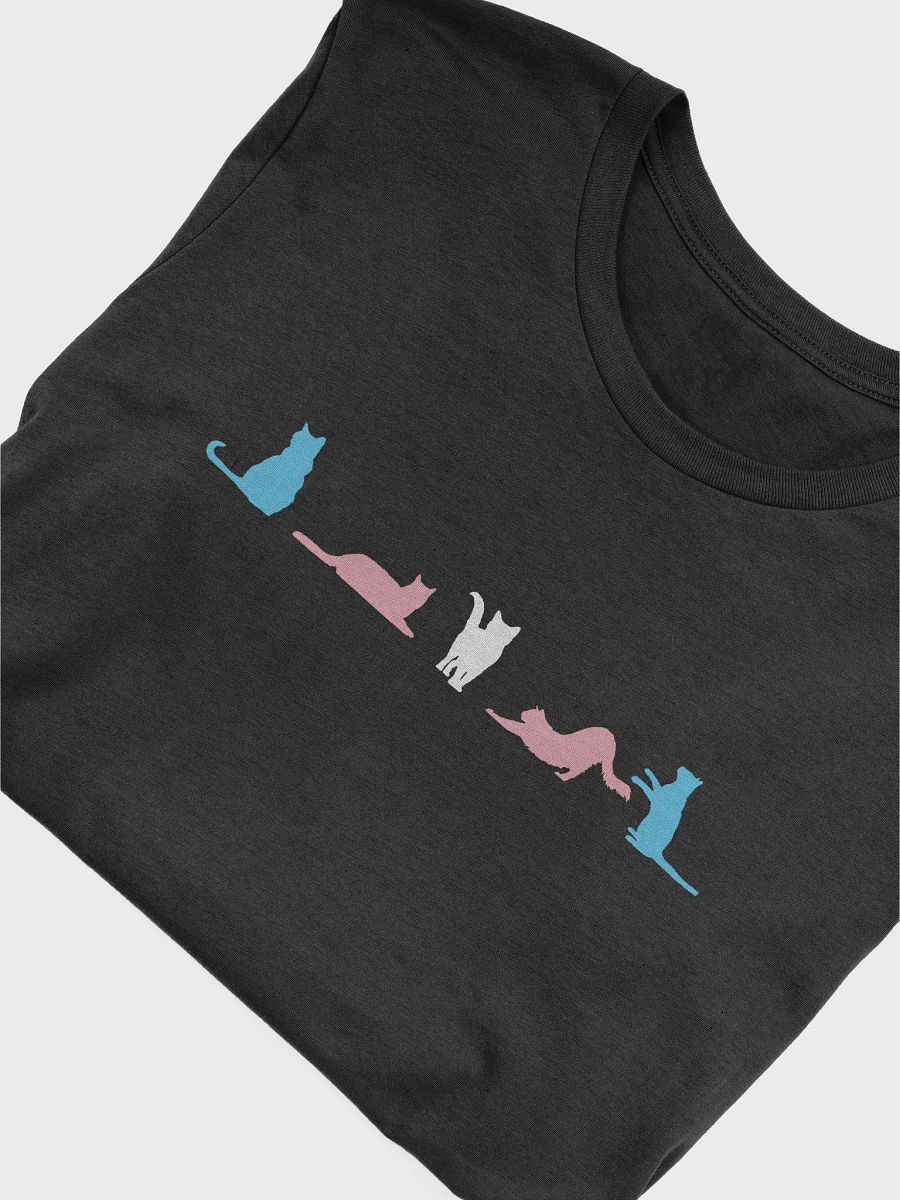 Transgender Pride Cats Women's Shirt product image (52)