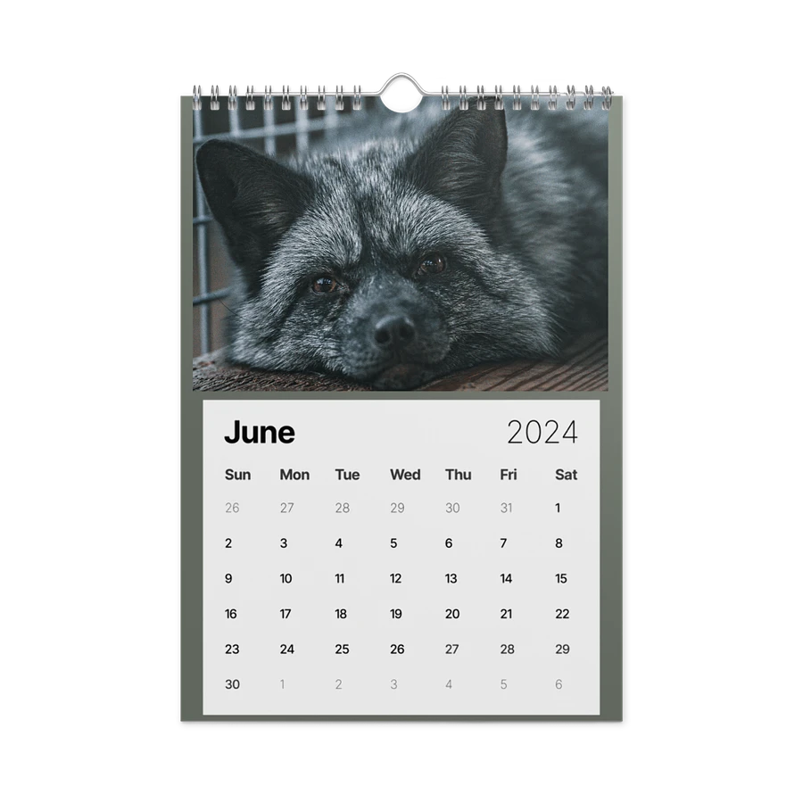 Alveus 2024 Calendar product image (13)