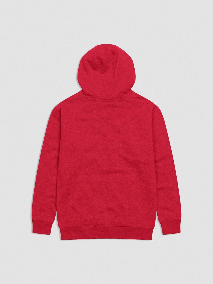 Gulf of America Embroidered Hoodie product image (12)
