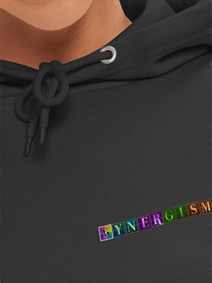 Synergism Hoodie Small Logo product image (7)