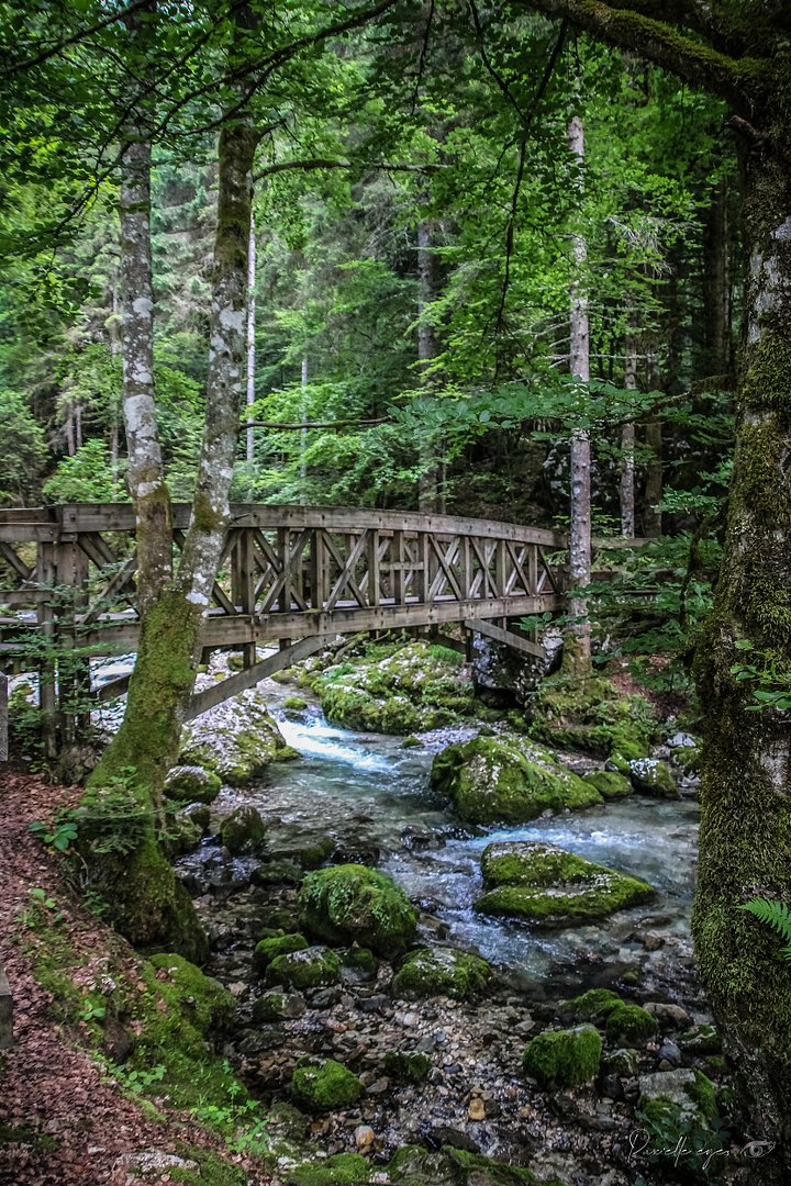 Fine Art Photography – Limited edition - The Enchanted Bridge – Forest Whispers product image (1)