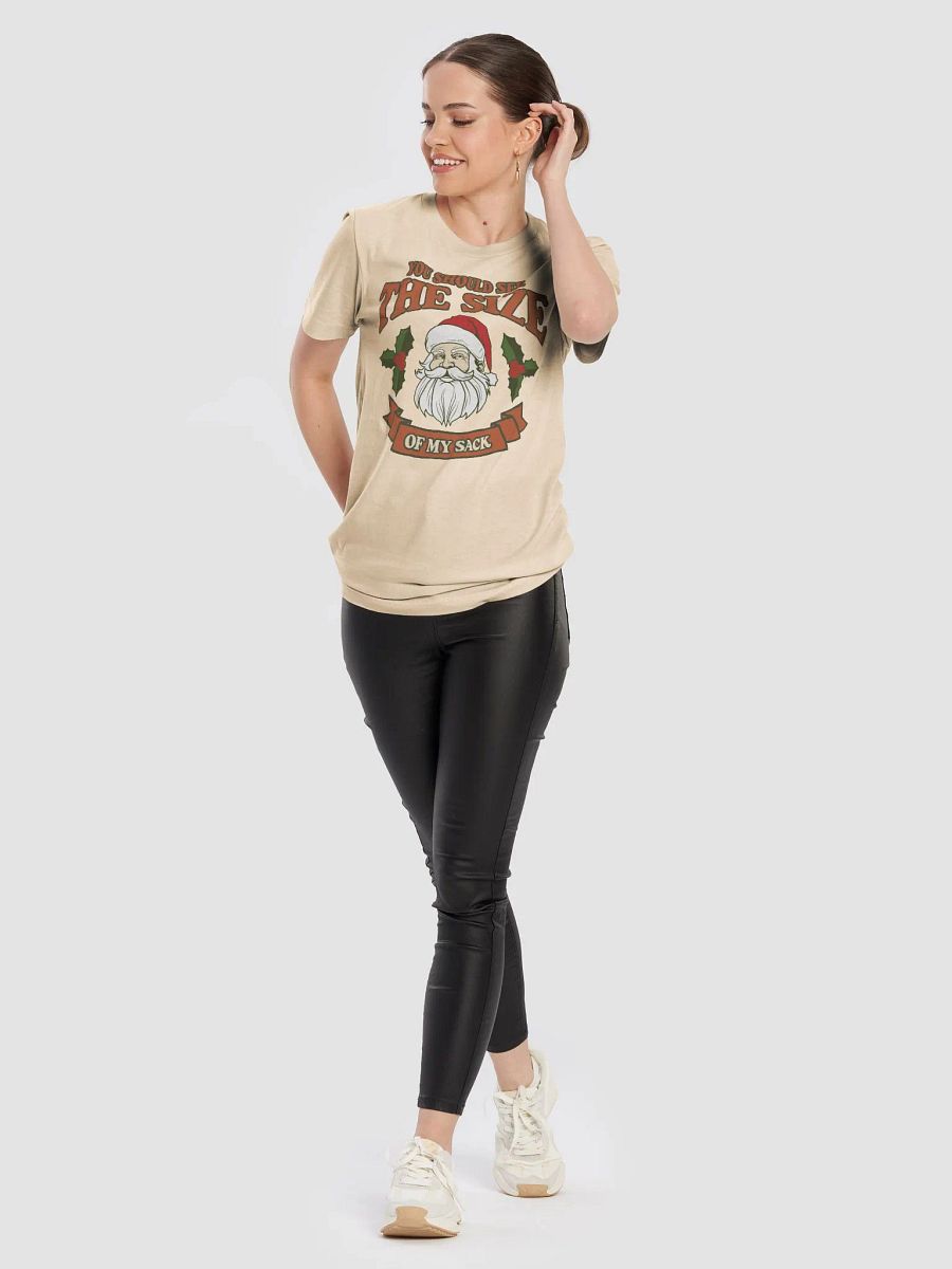 You Should See The Size of My Sack Funny Santa T-Shirt product image (70)