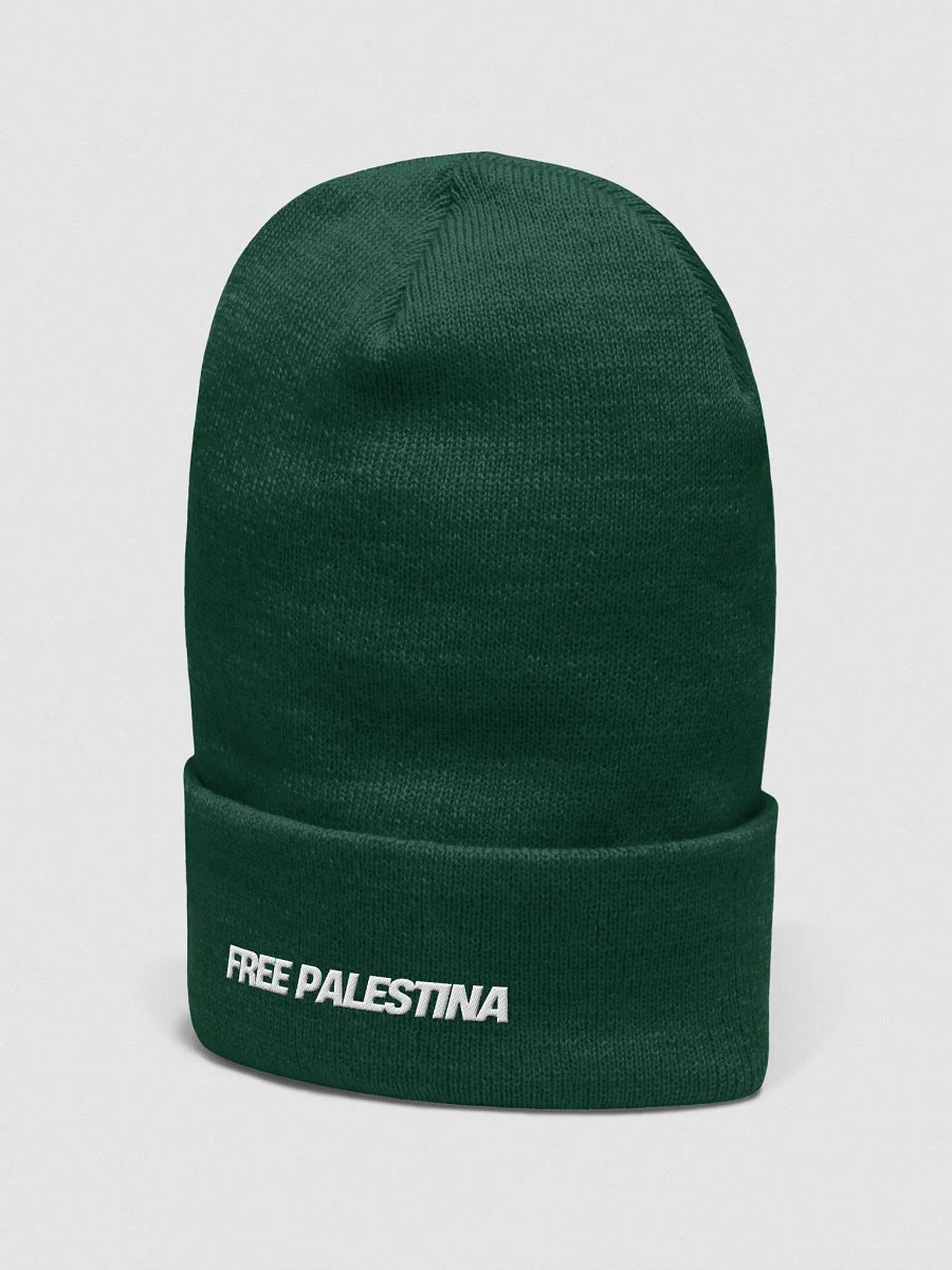 Abstract Minimalist Beanie FREE PALESTINA product image (3)