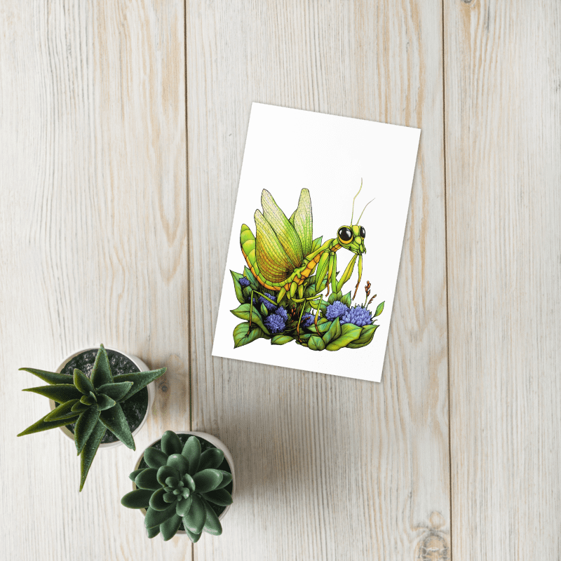 Mantis carte/card product image (5)