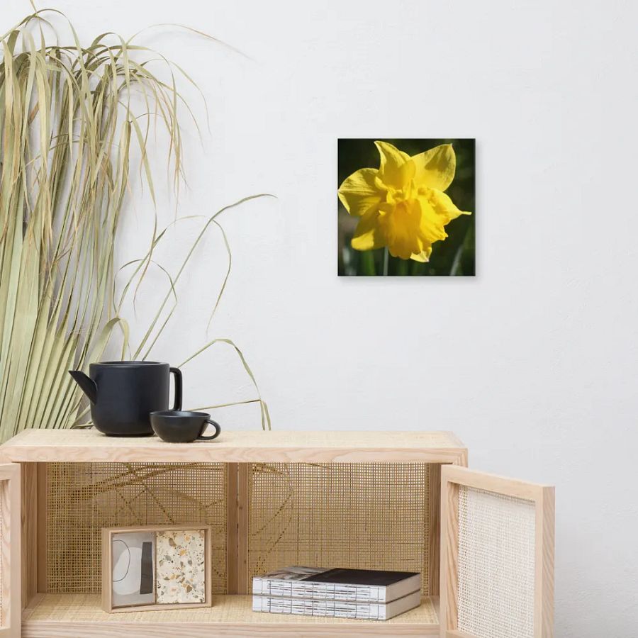 Daffodil product image (9)