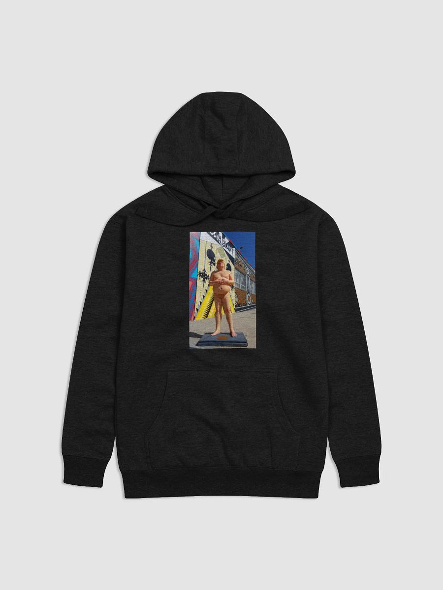 DONALD TRUMP MAKE AMERICA GREAT AGAIN product image (1)