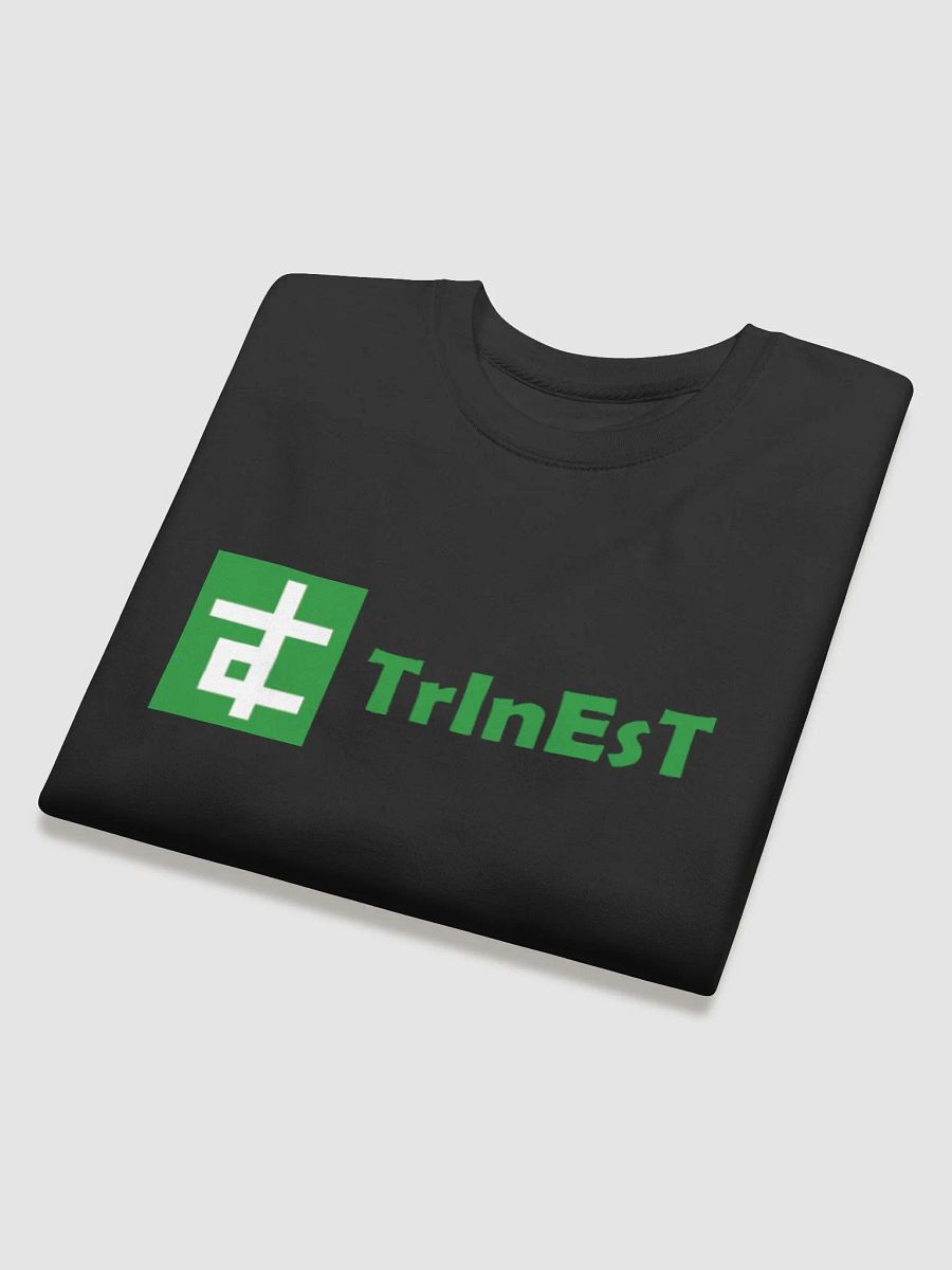 Logo Jumper product image (4)