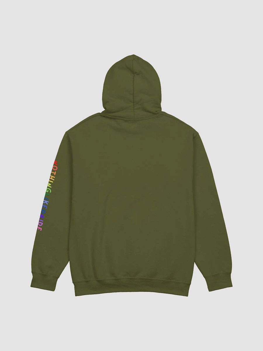 Pansexual Pride Hoodie product image (15)