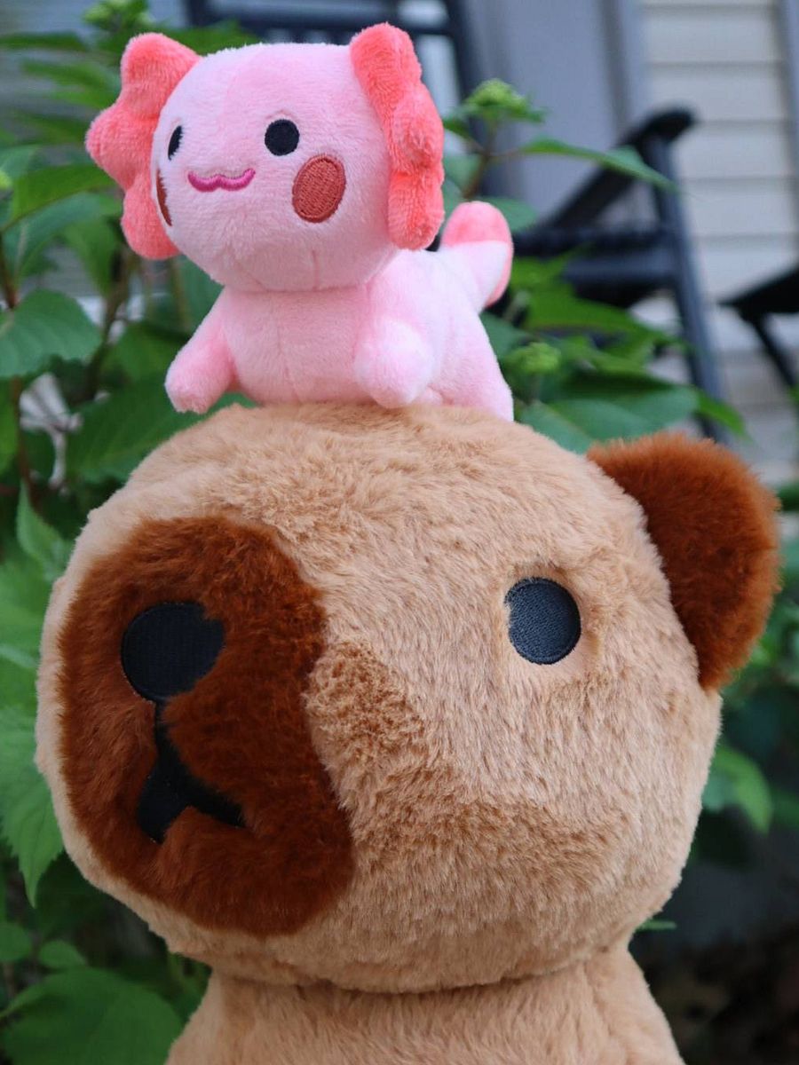 Capybara and Axolotl Magnetic Plushie (PRE ORDER) product image (5)