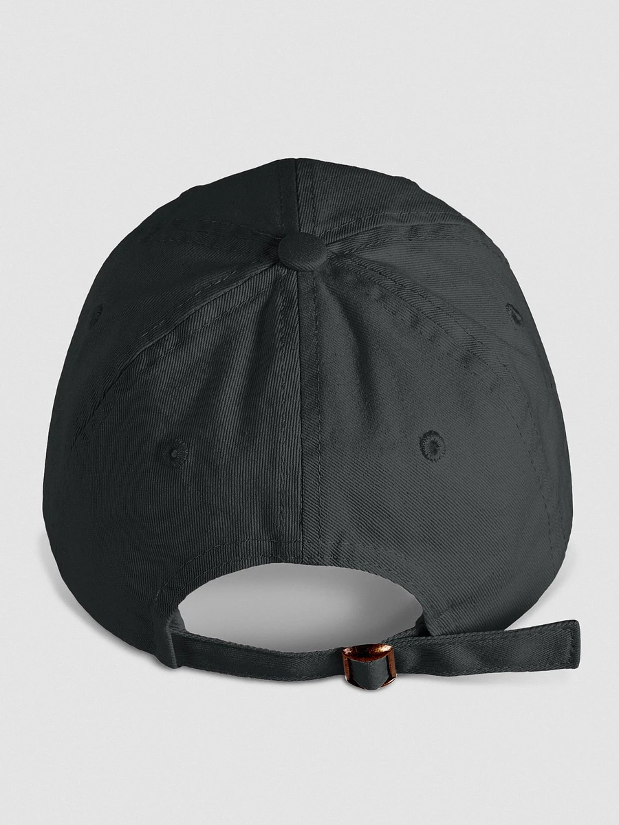 BRAVE Cap (Black) product image (4)