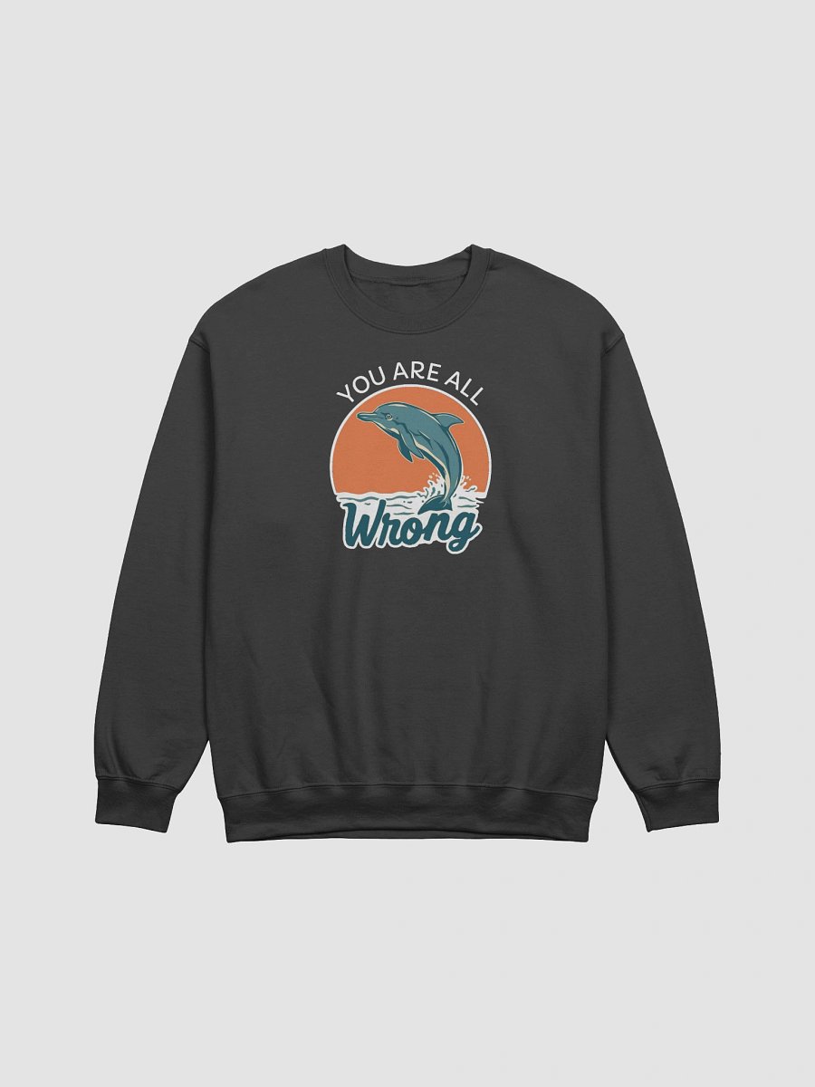 You Are All Wrong Funny Sweatshirt product image (1)