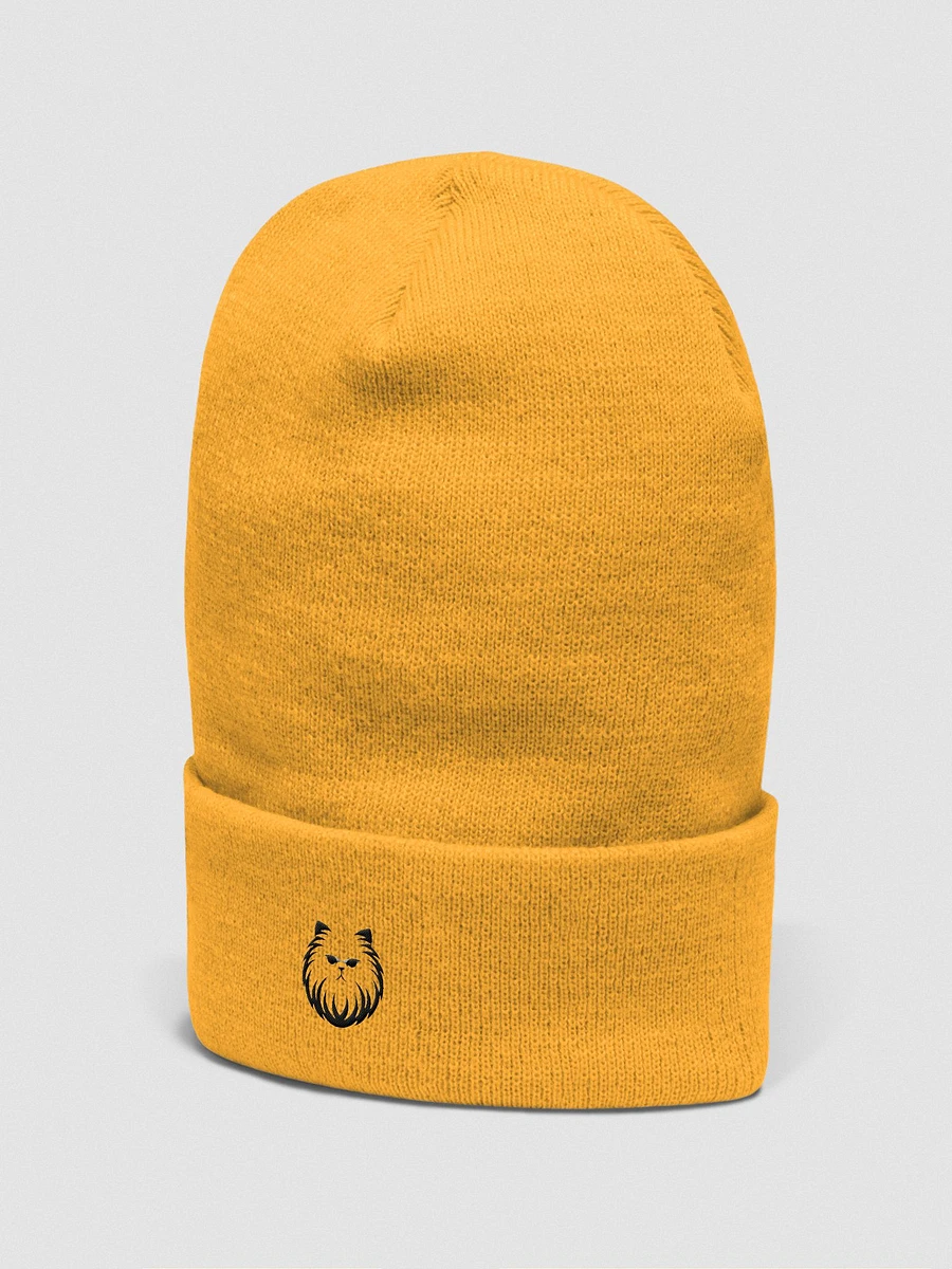 Yupoong Cuffed Beanie: Persian product image (3)