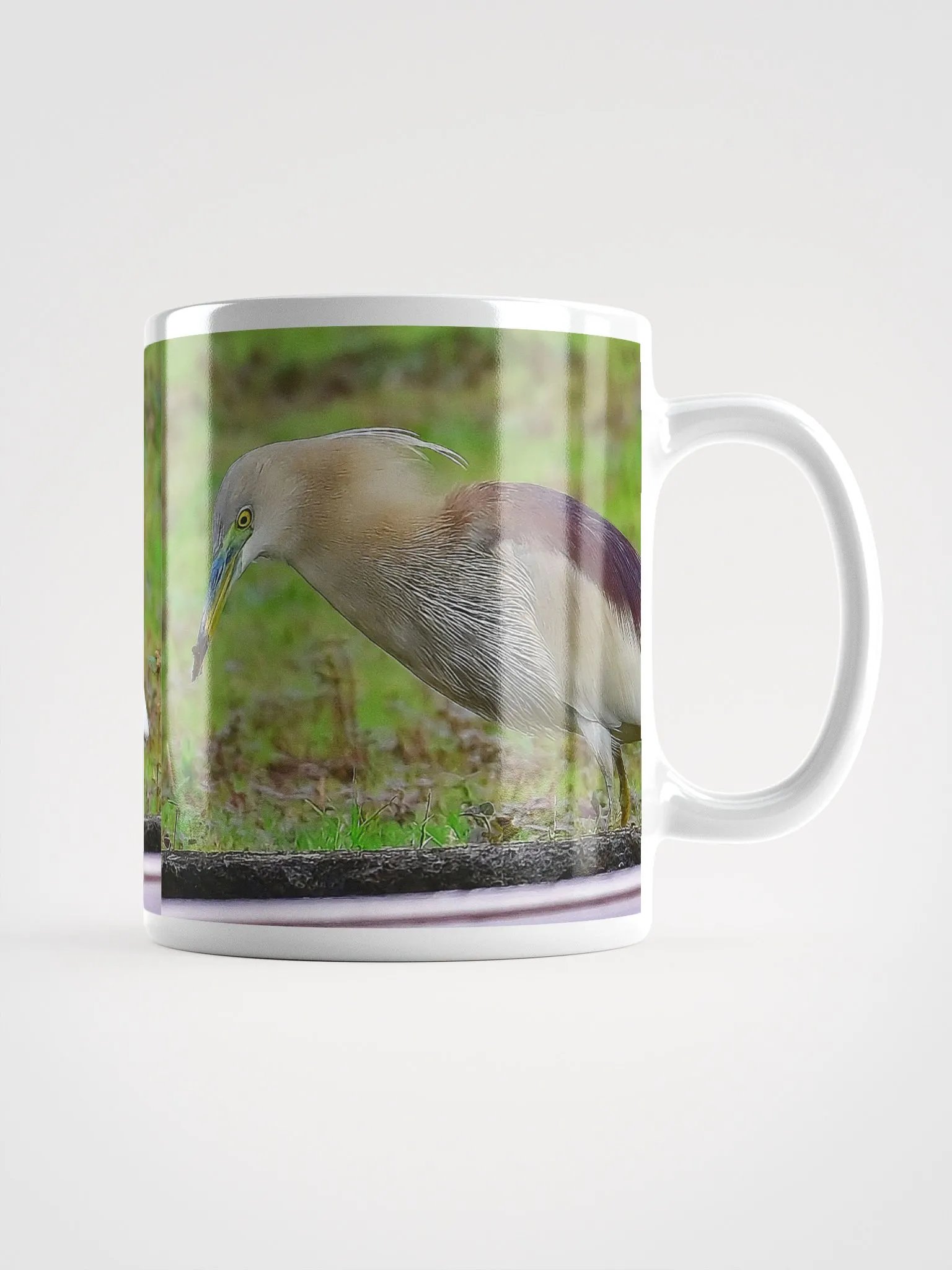 IUCAA Birds MUG product image (1)
