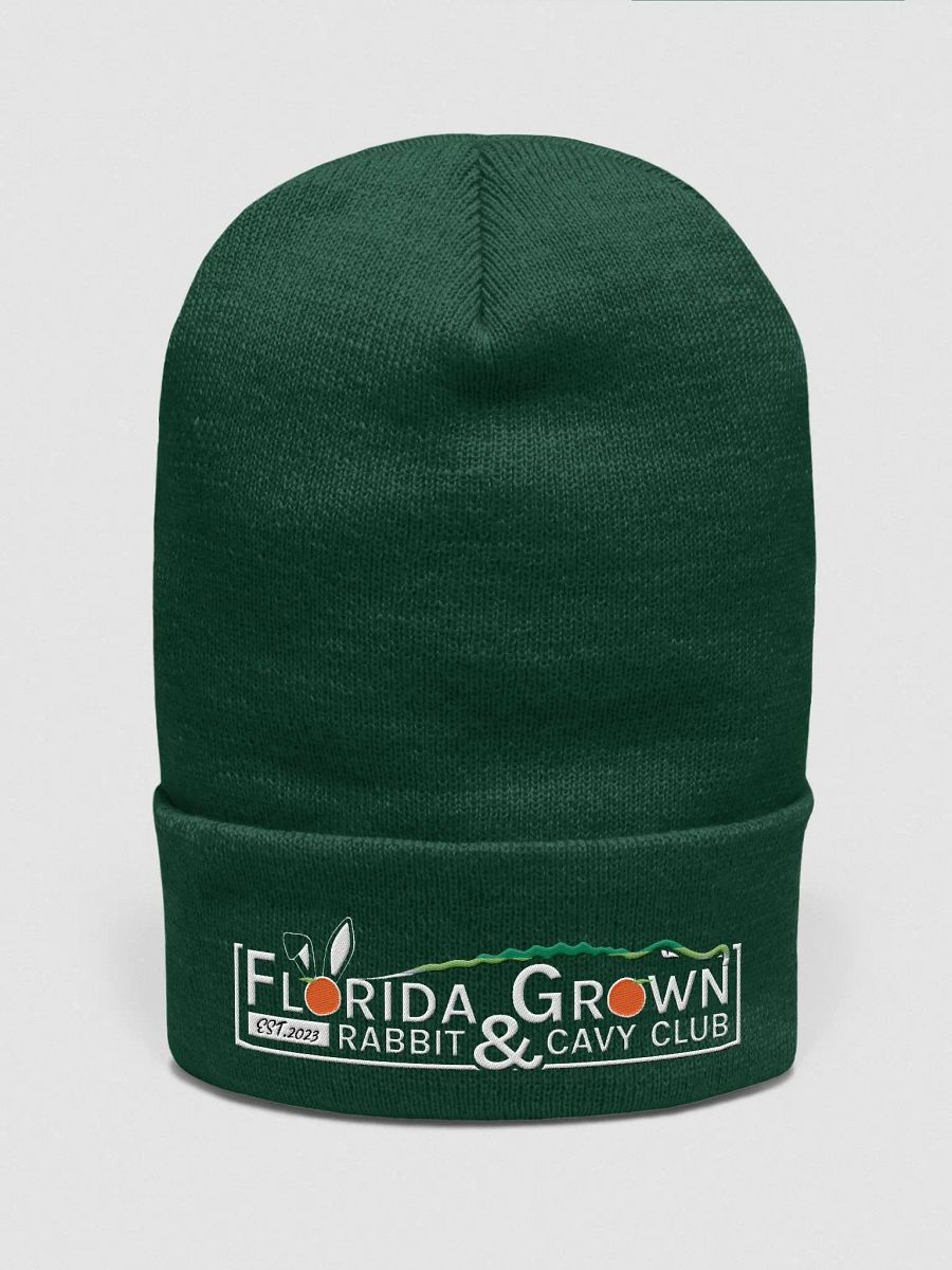 Florida Grown Hoodie Green product image (1)